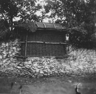 eika image